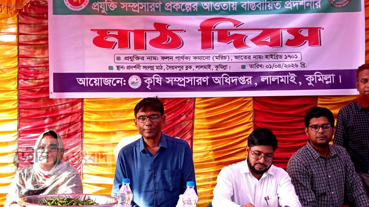 লালমাইয়ে টেকসই কৃষি প্রযুক্তির মাঠ দিবস অনুষ্ঠিত, মরিচে ফলন বৃদ্ধির নতুন দিকনির্দেশনা