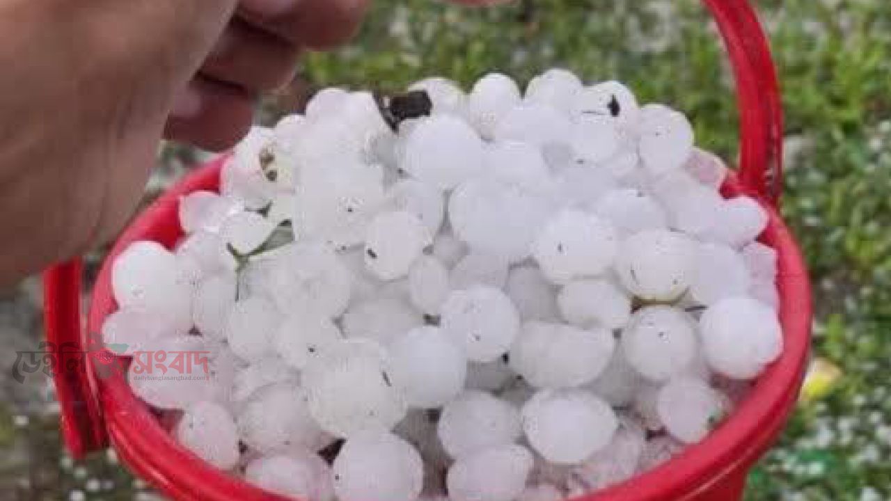 চাঁপাইনবাবগঞ্জে প্রকৃতির তা'ণ্ডব শিলা বৃষ্টিতে ব্যাপক ক্ষতির আশঙ্কা,