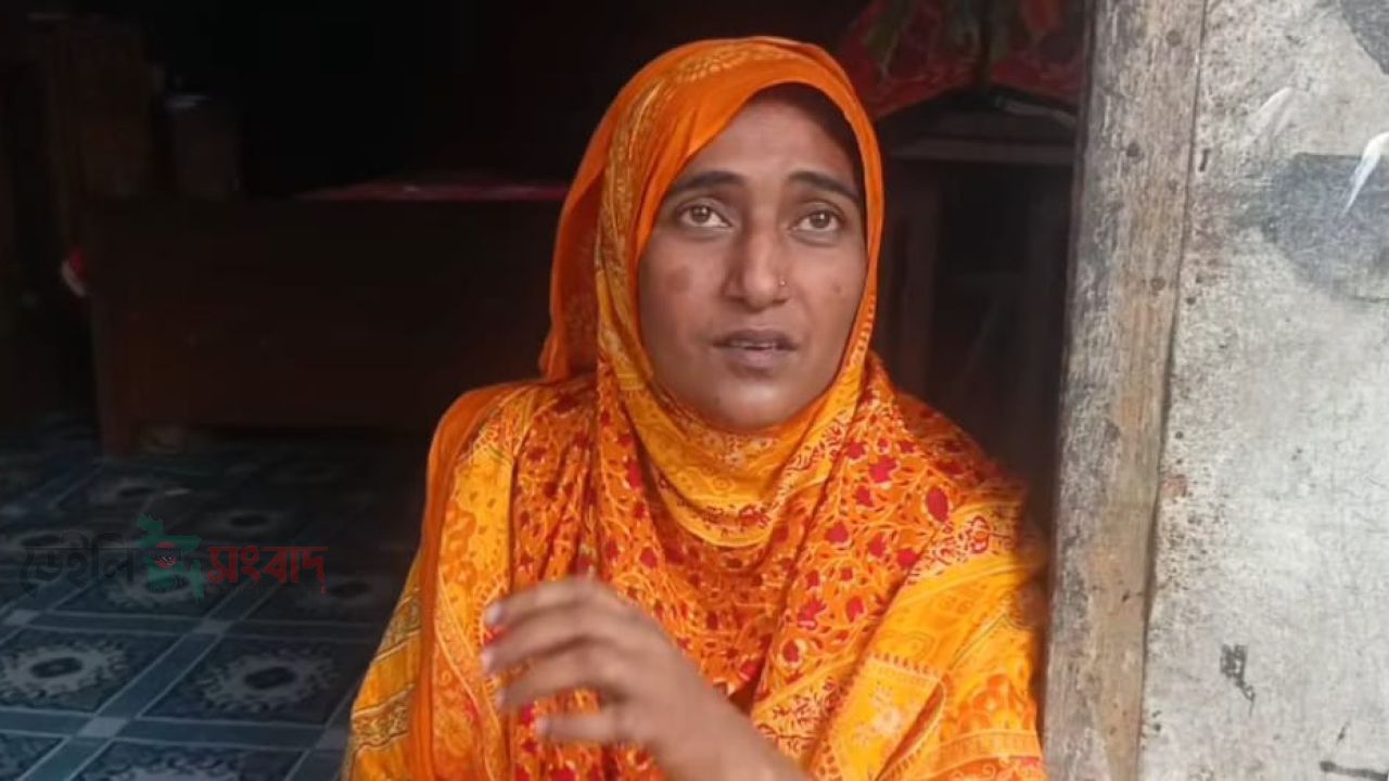 প্রভাবশালীর হামলায় আশ্রয়ণ প্রকল্পে গর্ভবতী নারীসহ একই পরিবারের ওপর নির্যাতনের অভিযোগ।