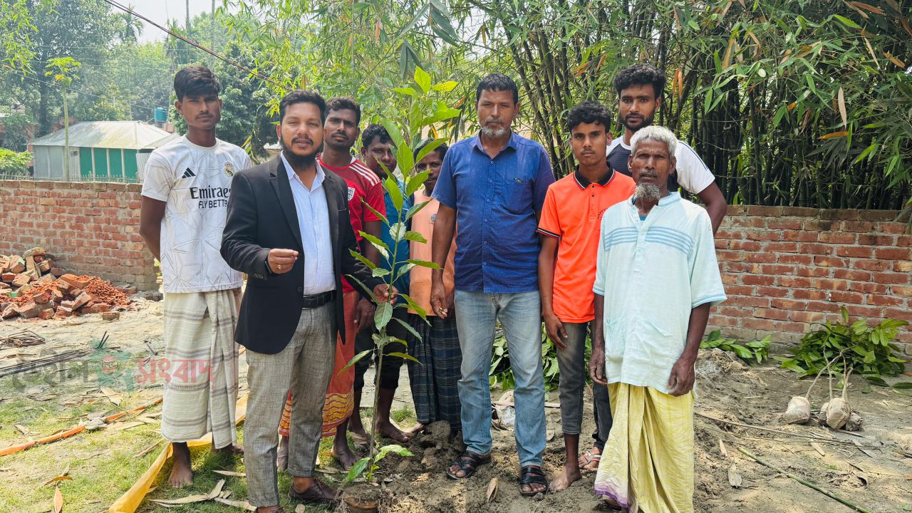 গ্রীন কিশোরগঞ্জ গড়তে বৃক্ষরোপণ কর্মসূচি শুরু সমাজকর্মী আব্দুল মালেক