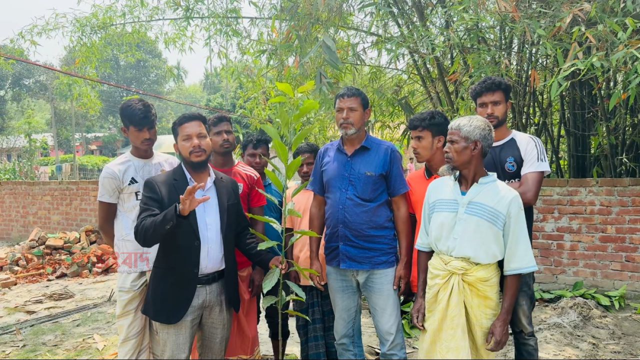 গ্রীন কিশোরগঞ্জ গড়তে বৃক্ষরোপণ কর্মসূচি শুরু সমাজকর্মী আব্দুল মালেক