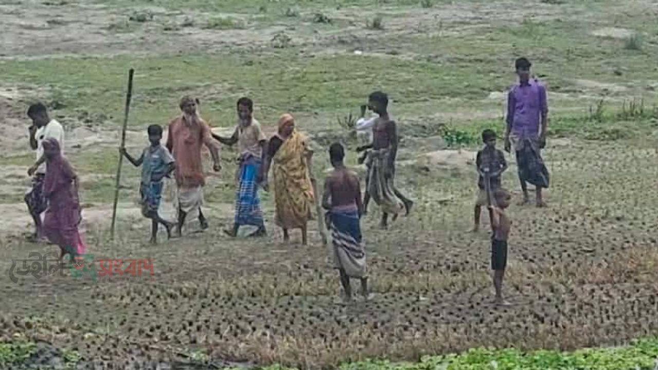 ইসলামপুরে সাংবাদিকের ওপর নজিরবিহীন হুমকি: জমি দখলের অপচেষ্টায় বেপরোয়া ভূমিদস্যুরা