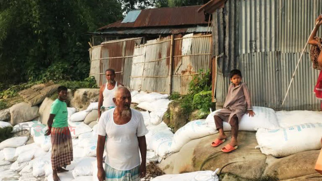 নিজের বসতভিটার ভাঙন ঠেকাতে ৮০ বছরের বৃদ্ধের একার লড়াই।