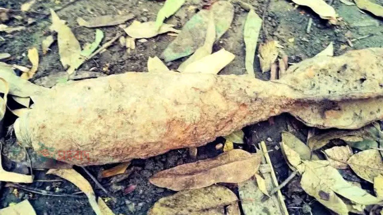 পুকুর থেকে উদ্ধার অবিস্ফোরিত মর্টার শেল, সেনাবাহিনীর নিয়ন্ত্রিত বিস্ফোরণে নিষ্ক্রিয়