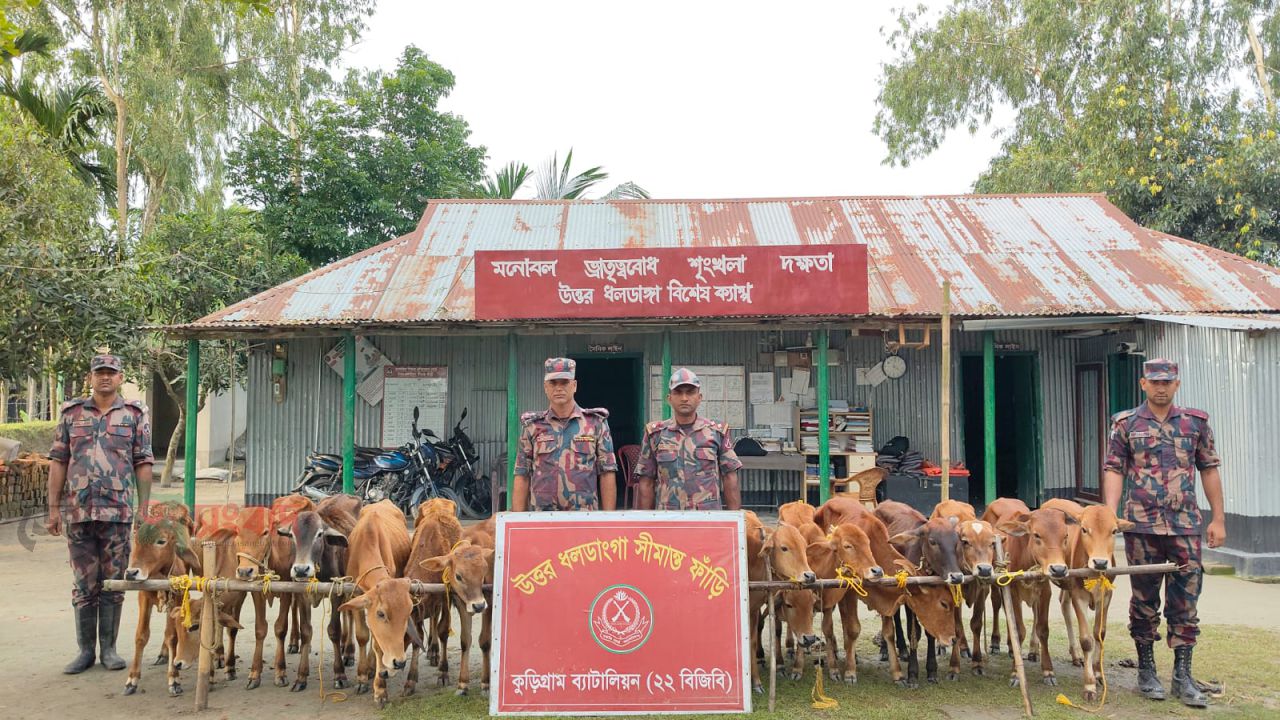 কুড়িগ্রাম সীমান্তে বিজিবির অভিযানে প্রায় ২৫ লক্ষ টাকার ভারতীয় চোরাচালান আটক । 