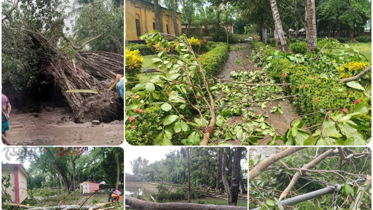 কালবৈশাখীর তাণ্ডবে বিপর্যস্ত মহাকবি মাইকেল মধুসূদন দত্তের জন্মভিটা