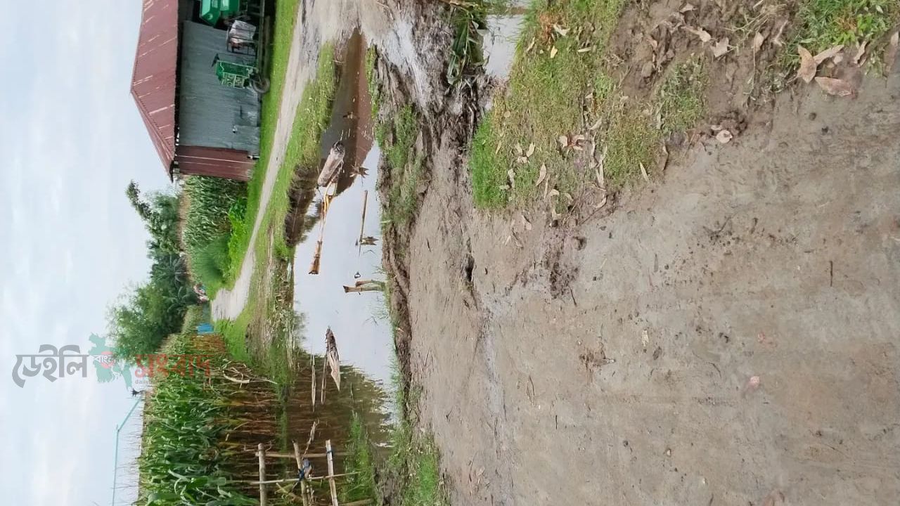 ডিমলা সদর ইউনিয়নে জনদুর্ভোগ: ১ কিমি রাস্তার বেহাল দশায় পাঁচ গ্রামের মানুষ ভোগান্তিতে