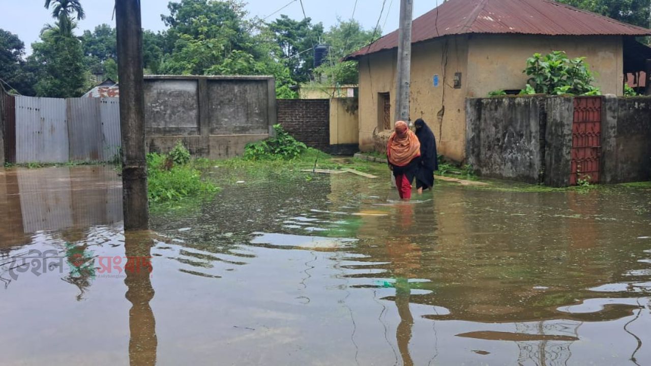 শ্রীপুর পৌরসভার অল্প বৃষ্টিতেই জলাবদ্ধতার সৃষ্টি, দুই শতাধিক পরিবার পানি বন্ধি।