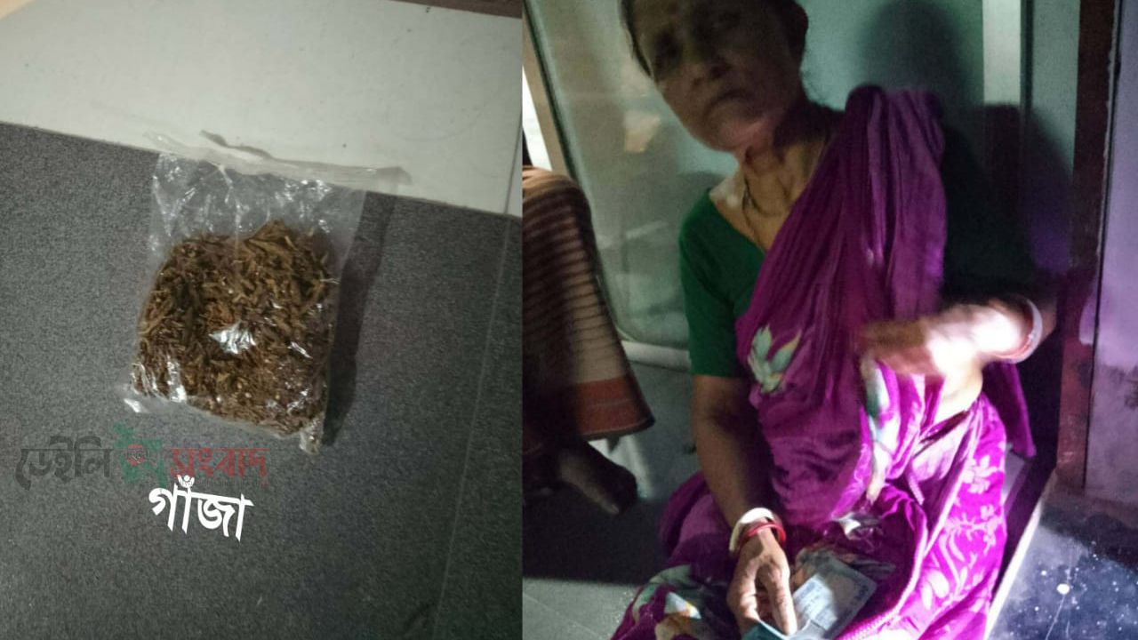 মণিরামপুরের মনোহরপুরে গাঁজাসহ নারী মাদক ব্যবসায়ী আটক
