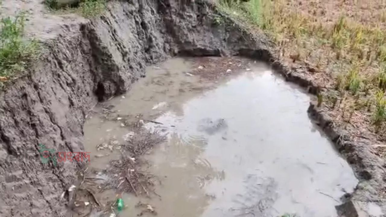 নোয়াখালীতে খেলা করতে গিয়ে প্রাণ গেল চার শিশুর