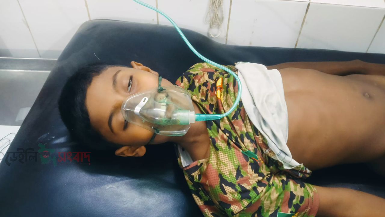 সরিষাবাড়ীতে গলায় লিচু আটকে শিশুর মৃত্যু