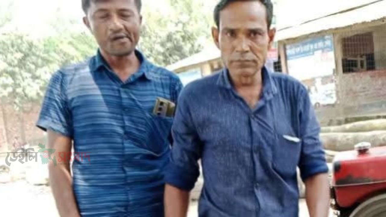পলাশবাড়ীতে গাছ কাটার তথ্য সংগ্রহে গিয়ে বিএনপির নেতার হামলার শিকার ৭১ টিভির সাংবাদিক, গ্রেফতারের  দাবি