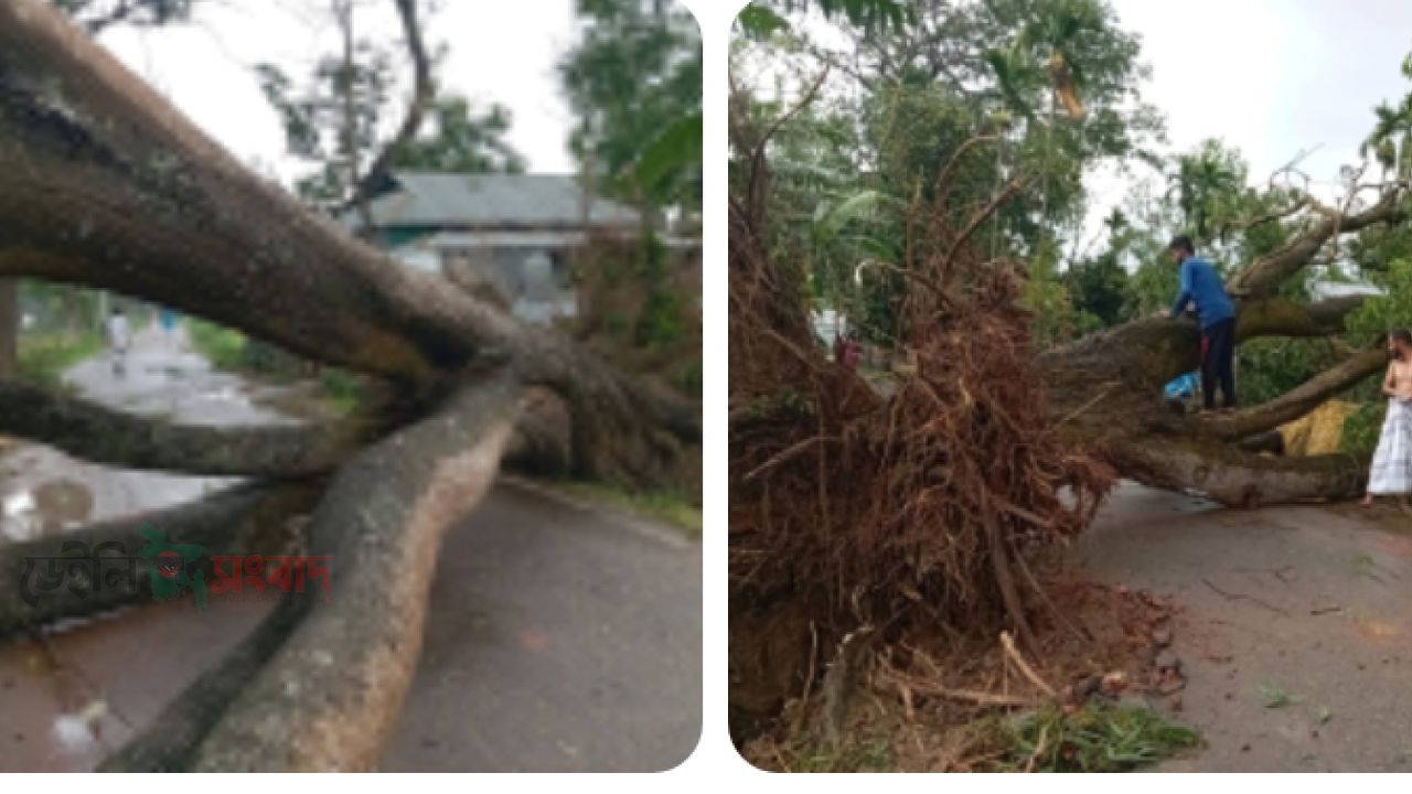 কালবৈশাখী ঝড়ে সরিষাবাড়ীতে ব্যাপক ক্ষয়ক্ষতি, আহত ৫