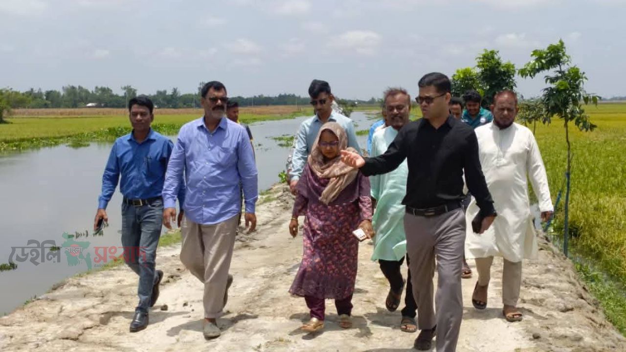 খাল পুনঃখনন ও রামরাই দিঘি পরিদর্শনে করলেন  জেলা প্রশাসক।