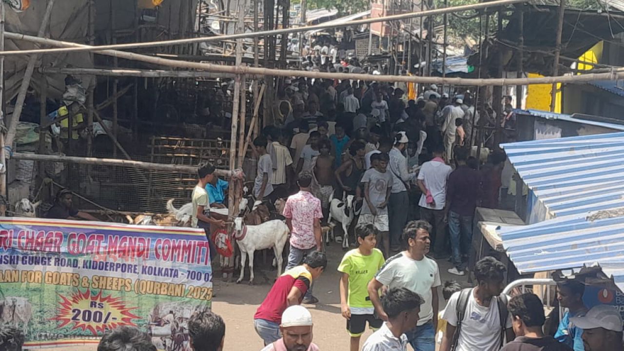 মুসলিম সম্প্রদায়ের ঈদুল  জোহায়-- বাজারে ছাগলের দাম আগুন। 