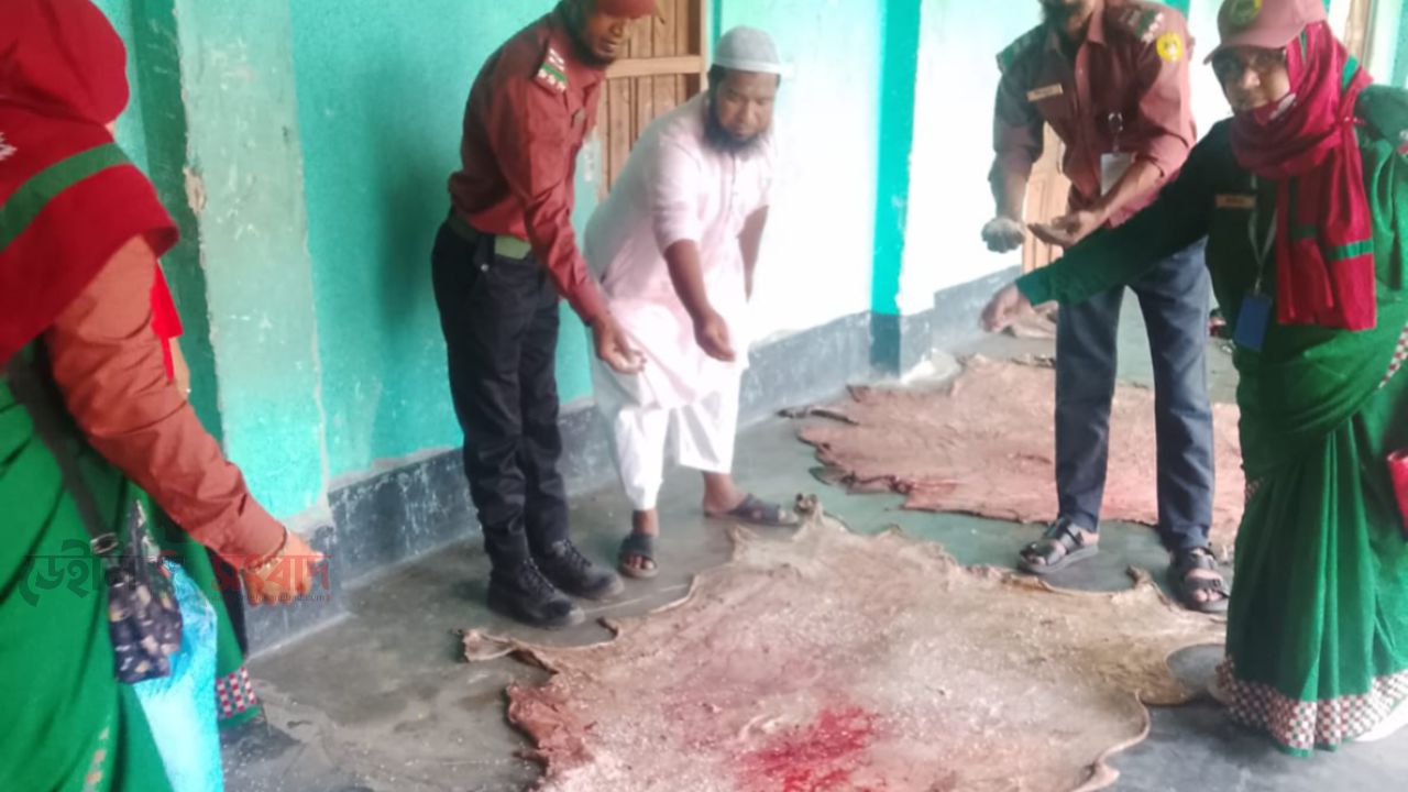 ঈদে কোরবানির পশুর চামড়া সংরক্ষণে মাঠে সক্রিয় আনসার ভিডিপি।