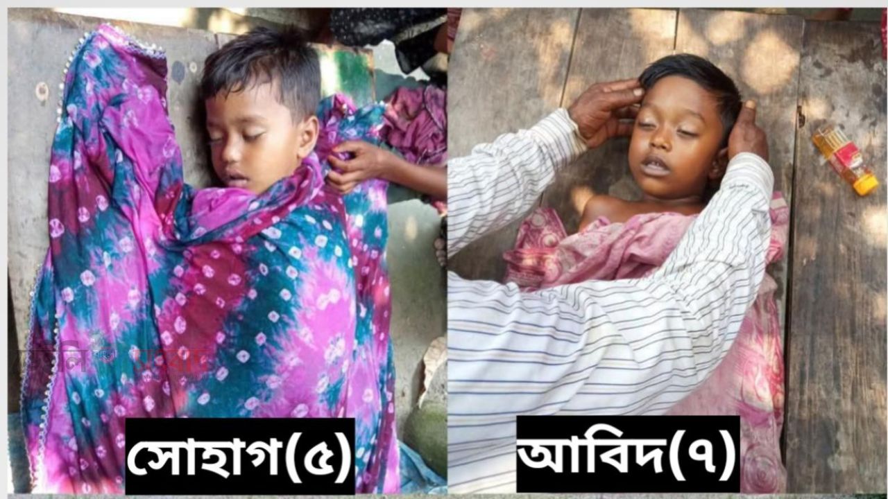 খেলতে গিয়ে আর ফেরা হলো না, পীরগাছায় ডোবায় ডুবে দুই শিশুর মৃত্যু