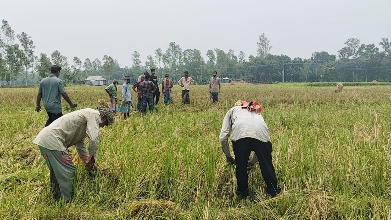 মামলার বাদী পরিবারের বিরুদ্ধে প্রতিপক্ষের অপপ্রচারের অভিযোগ 