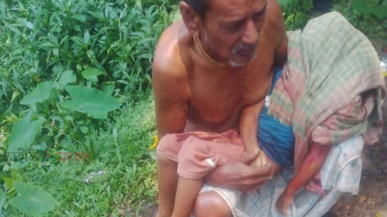 শান্তিগঞ্জে  কুরিয়ার ভ্যান কেড়ে নিল শিশুর জীবন