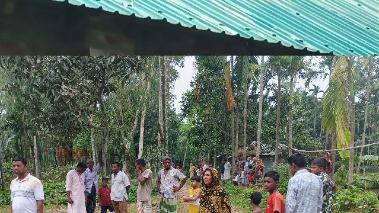 পীরগাছায় পূর্ব বিরোধের জেরে বসতবাড়িতে হামলা-ভাঙচুরের অভিযোগ।