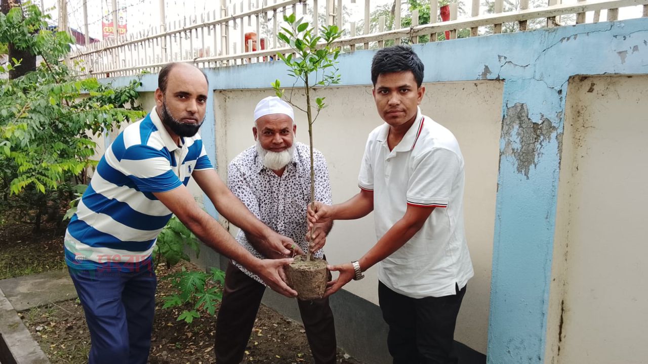 নাটোরে ভ্রাম্যমাণ লাইব্রেরির উদ্যোগে বৃক্ষরোপণ, কুইজ প্রতিযোগিতা ও আলোচনা সভা অনুষ্ঠিত