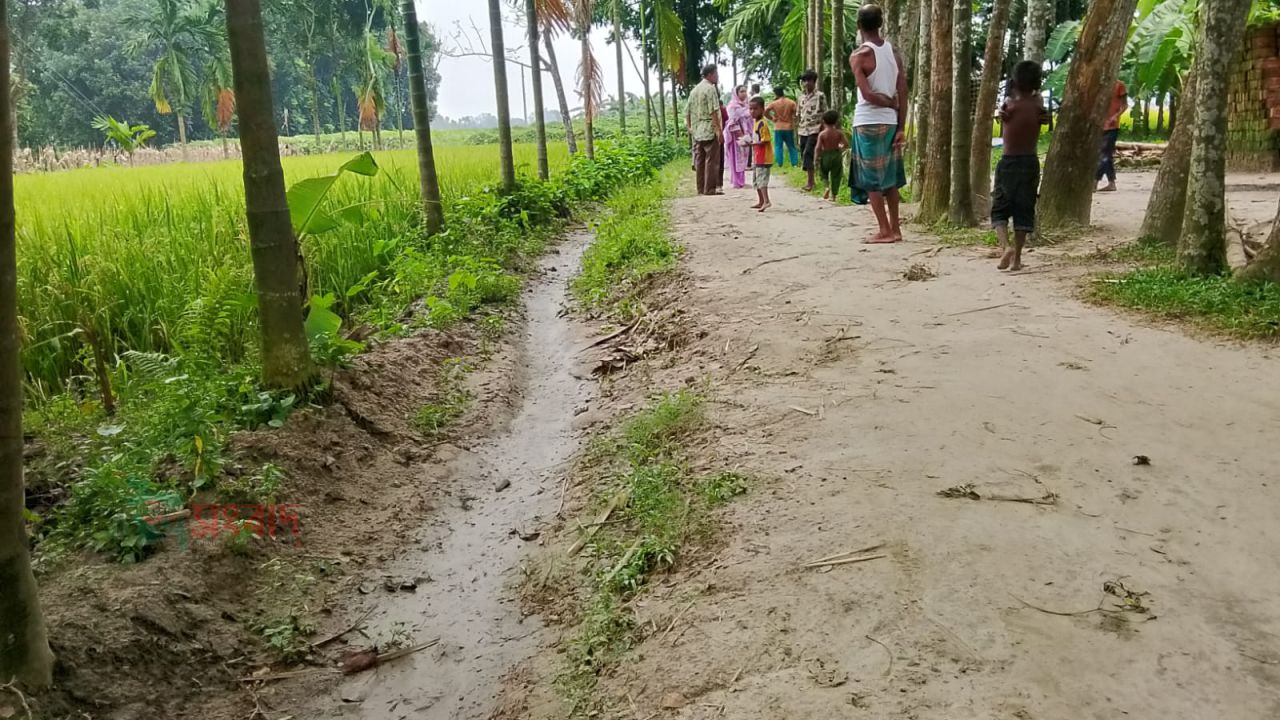 বীরগঞ্জে সরকারি রাস্তা দখল করে ড্রেন নির্মাণের অভিযোগ, কৃষি আবাদ ও চলাচলে দুর্ভোগ