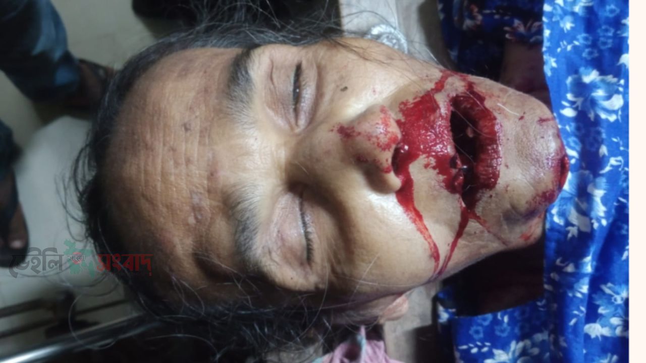 মোল্লাহাটে ধলেশ্বর পরিবহনের চাপায় নারী নিহত