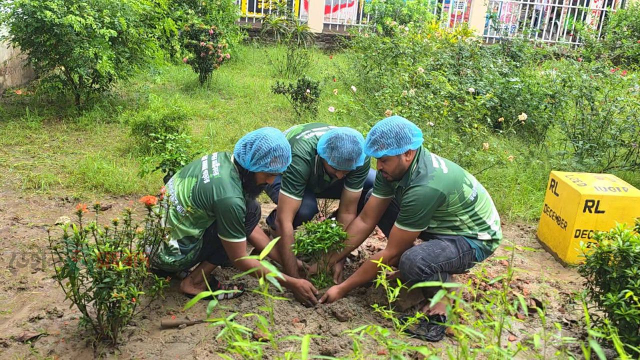 গ্রিন অ্যান্ড ক্লিন ব্রাহ্মণবাড়িয়ার বৃক্ষরোপণ কর্মসূচি: পরিবেশ রক্ষায় সচেতনতার বার্তা