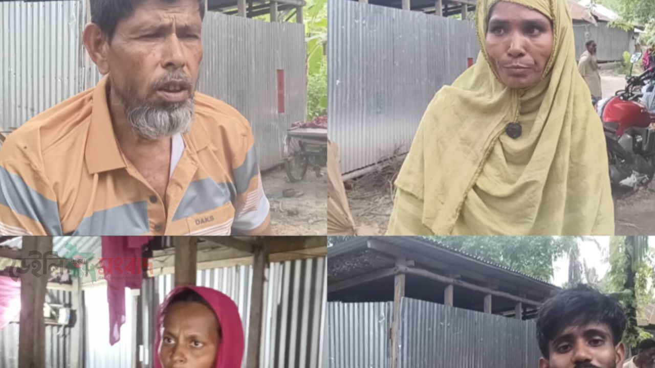 মোল্লাহাটে জমি বিরোধে হামলা ও বাড়িঘর ভাঙচুরের অভিযোগ