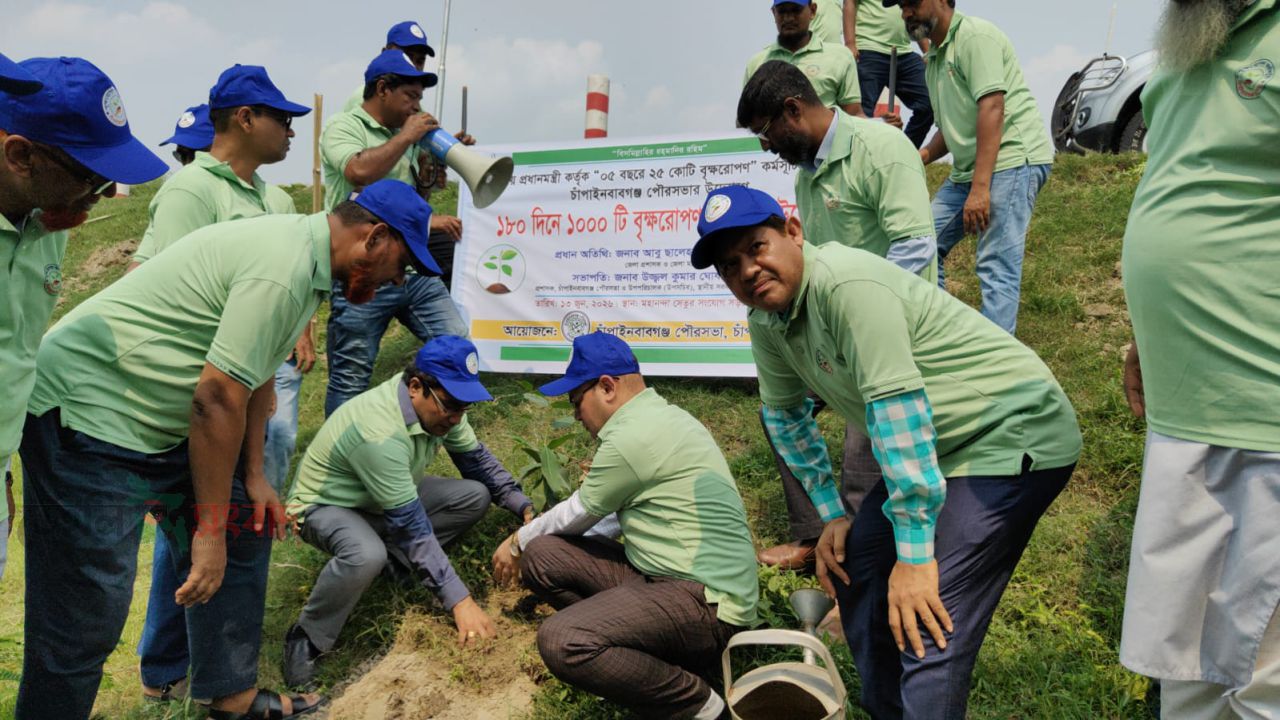 চাঁপাইনবাবগঞ্জ  পৌরসভার উদ্যোগে বৃক্ষরোপণ কর্মসূচীর উদ্বোধন