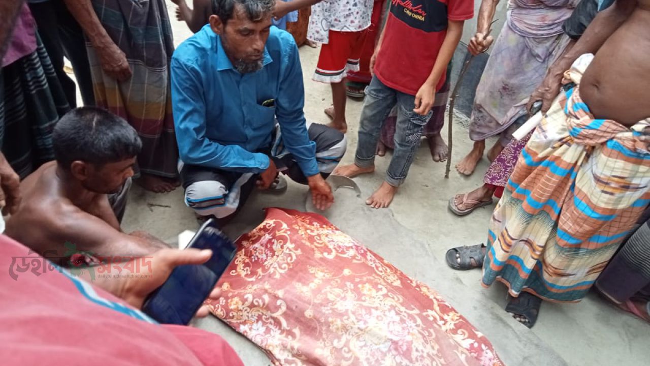 কুড়িগ্রাম উলিপুরে কাঁঠাল পাড়তে গিয়ে বিদ্যুৎ স্পষ্টে কাঁঠাল ব্যবসায়ীর মৃত্যু ।