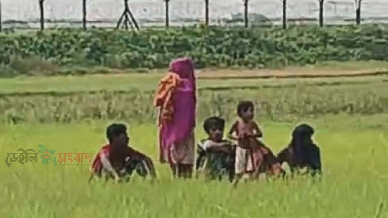 রৌমারী সীমান্তে নারী-শিশুসহ ৬ জনকে পুশইনের চেষ্টা