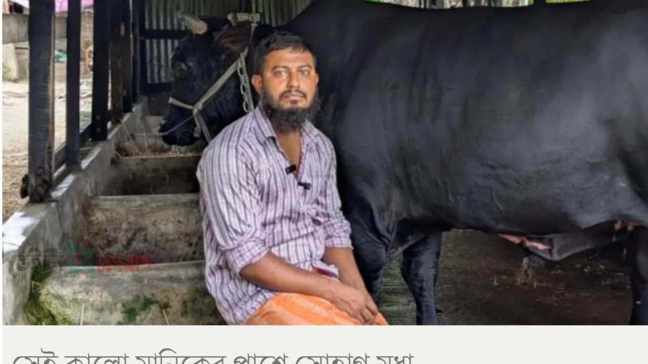 খালেদা জিয়াকে ‘কালো মানিক’ উপহার দিতে চাওয়া সেই সোহাগ আবার আলোচনায়: মারামারি ও পর্নোগ্রাফি মামলায় জেলে
