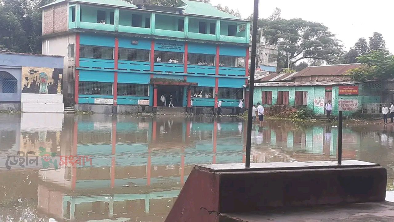 দাড়িয়াপুর আমানউল্লাহ উচ্চ বিদ্যালয় মাঠের জলাবদ্ধতা নিরসনে উদ্যোগ