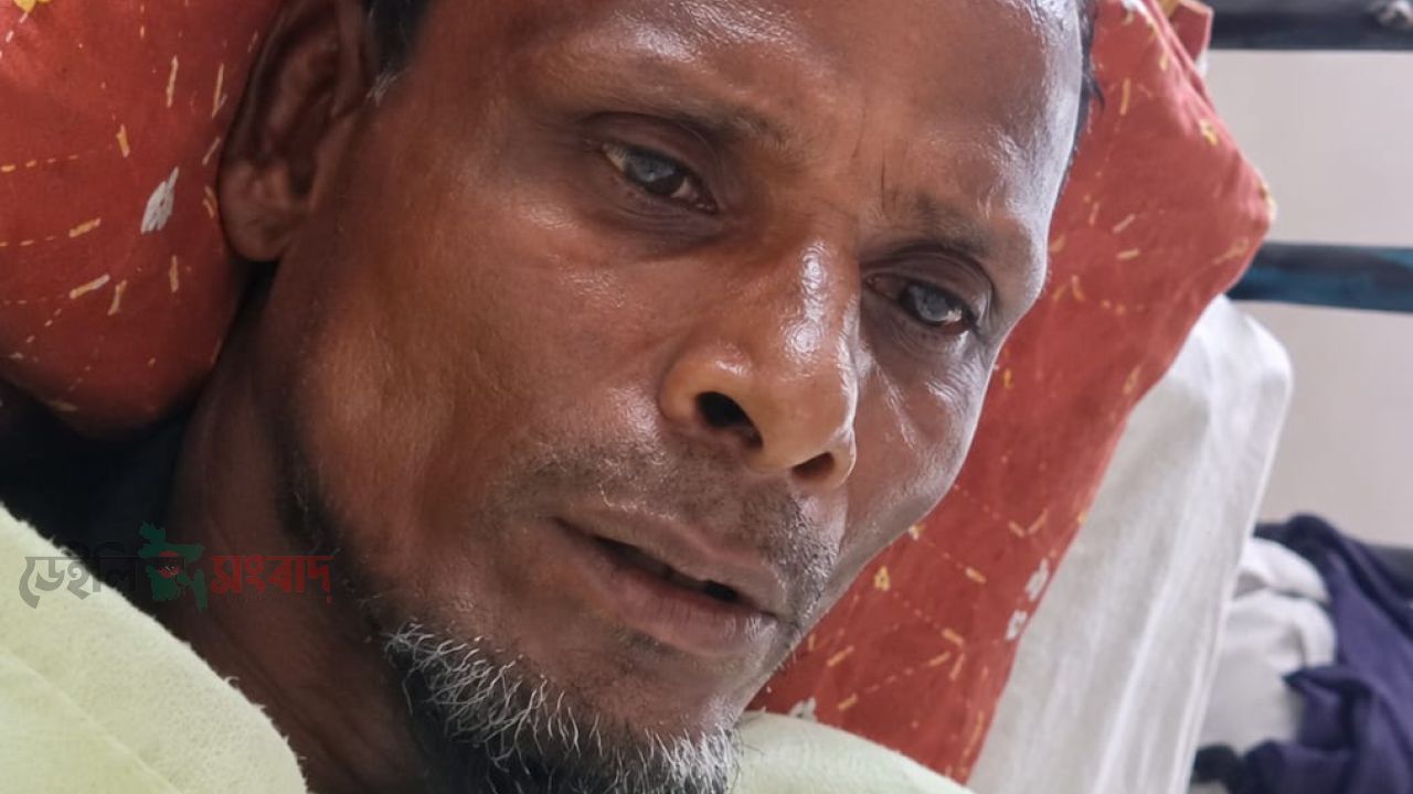 আমতলীতে গরু চুরি করতে এসে কুকুরের কামড়ে ধরা খেল চোর