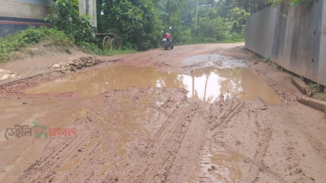 হরিরামপুরে গোপিনাথপুর পাল পাড়া সরকারি রাস্তার বেহাল দশা,ঝুঁকিতে চলাচল।
