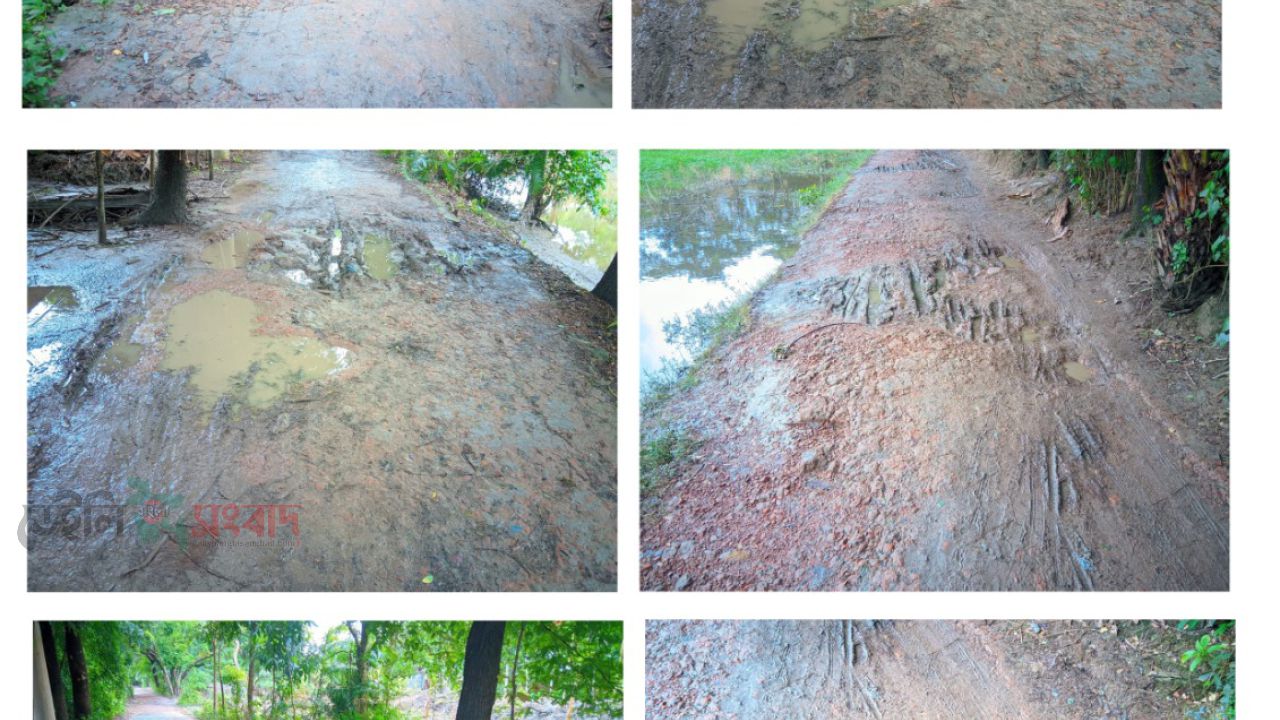 বারবার আবেদন, তবুও সংস্কার হয়নি রাস্তা: চরম দুর্ভোগে এলাকাবাসী