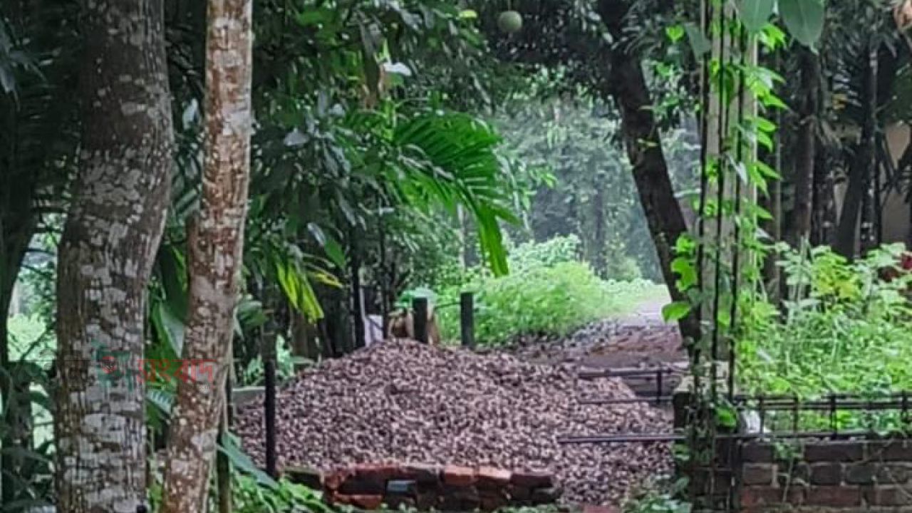 বিশ্বনাথের পল্লীতে বালু ও পাথর দিয়েসরকারি রাস্তা বন্ধ করে দেওয়ার অভিযোগ