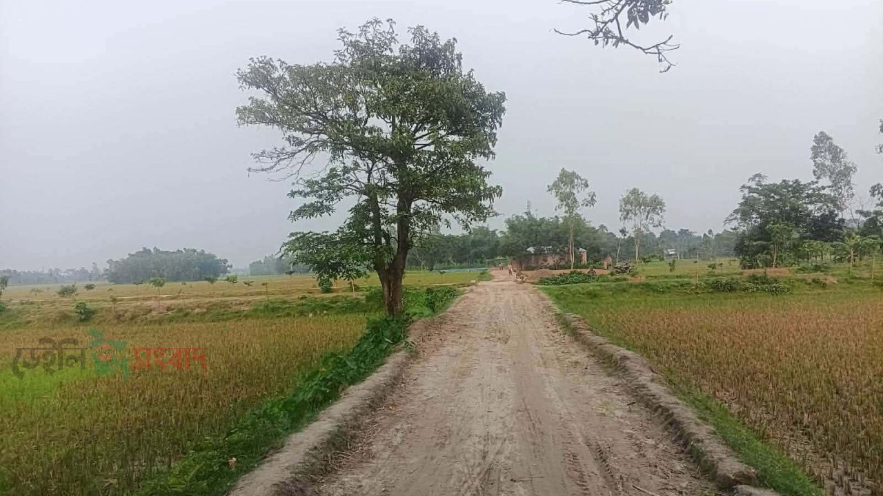 জলঢাকা উপজেলা প্রকল্প বাস্তবায়ন কর্মকর্তার কাজে ব্যাপক অনিয়মের অভিযোগ 