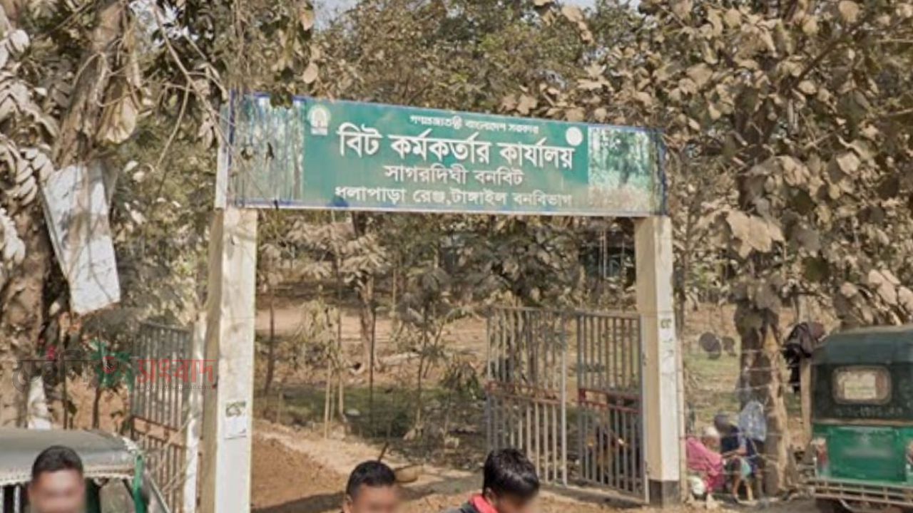 সাগরদিঘী বিটে বনের জায়গা দখল করে ঘর নির্মাণ। 