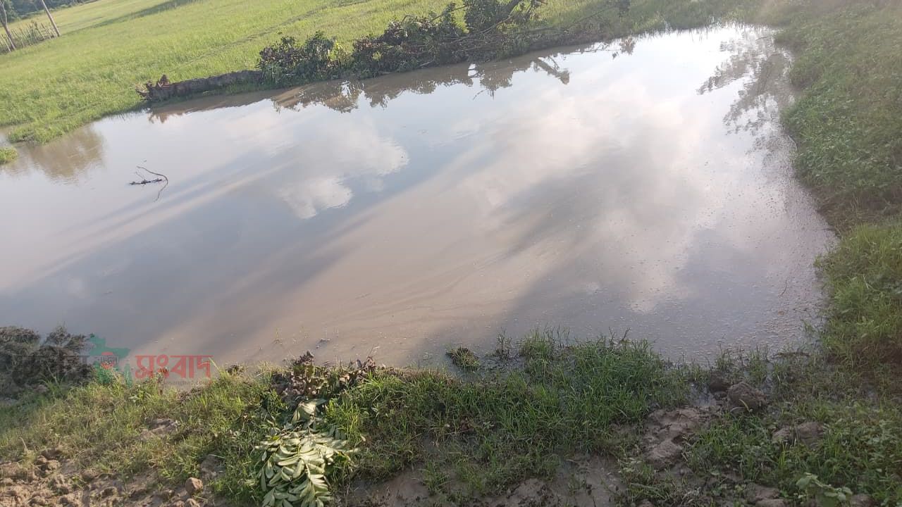 হাটহাজারীতে এলজিইডির ১ সড়ক প্রকল্পেই ভূমি মালিকের ২০ লাখ টাকার ক্ষতি!