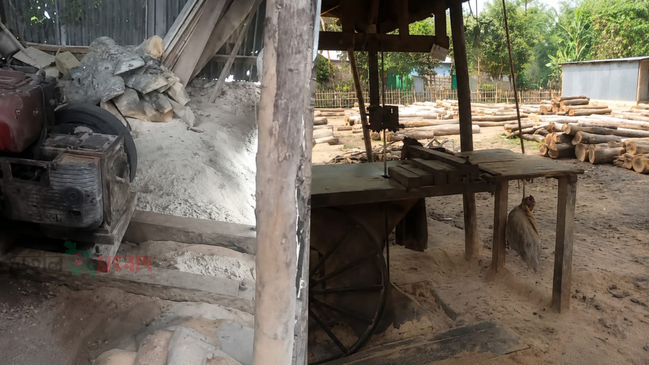 অবৈধ করাতকলের শব্দদূষণে অতিষ্ঠ ৩১ পরিবার, প্রতিকার না পাওয়ার অভিযোগ
