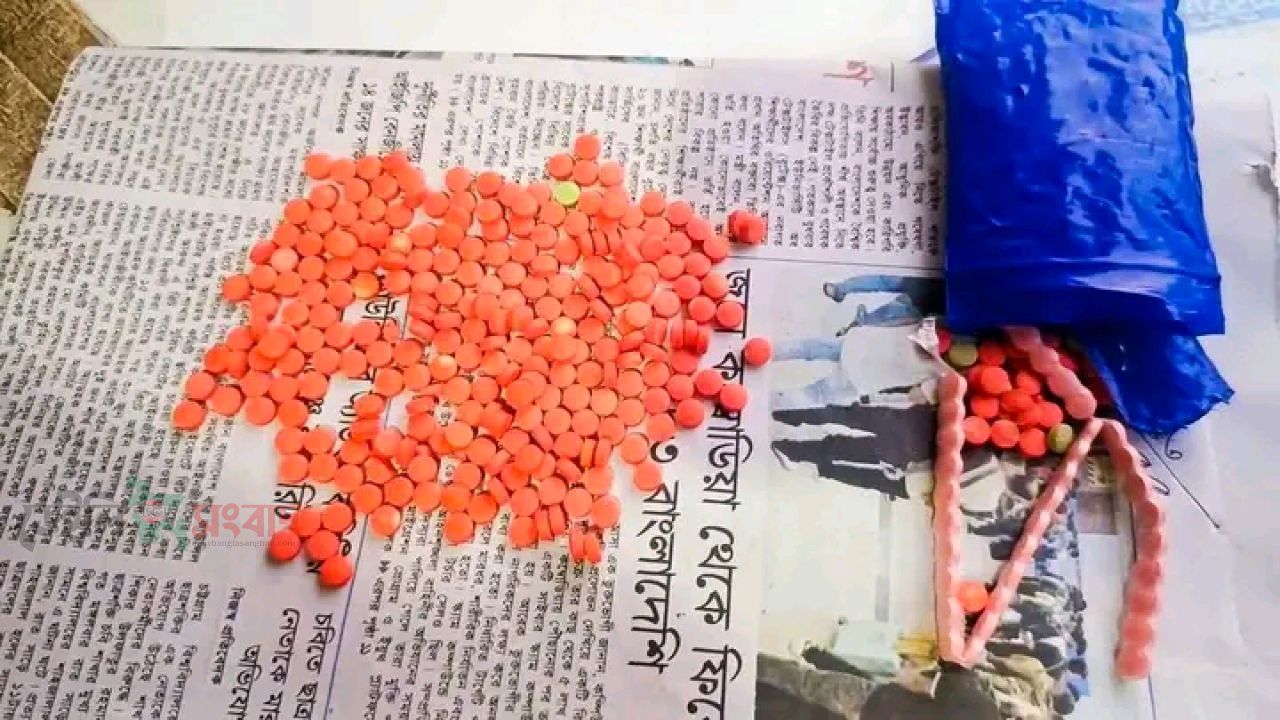 শ্রীপুরে ২৪০ পিস ইয়াবাসহ একজন আটক