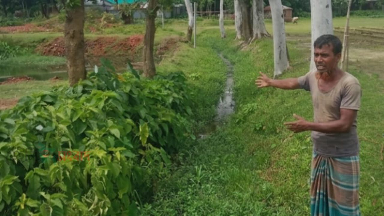 বাদিয়াখালীর বাটকামারী বিলে খাল খন হয়নি, পানি নিষ্কাশন না হওয়ায় বিপাকে কৃষক