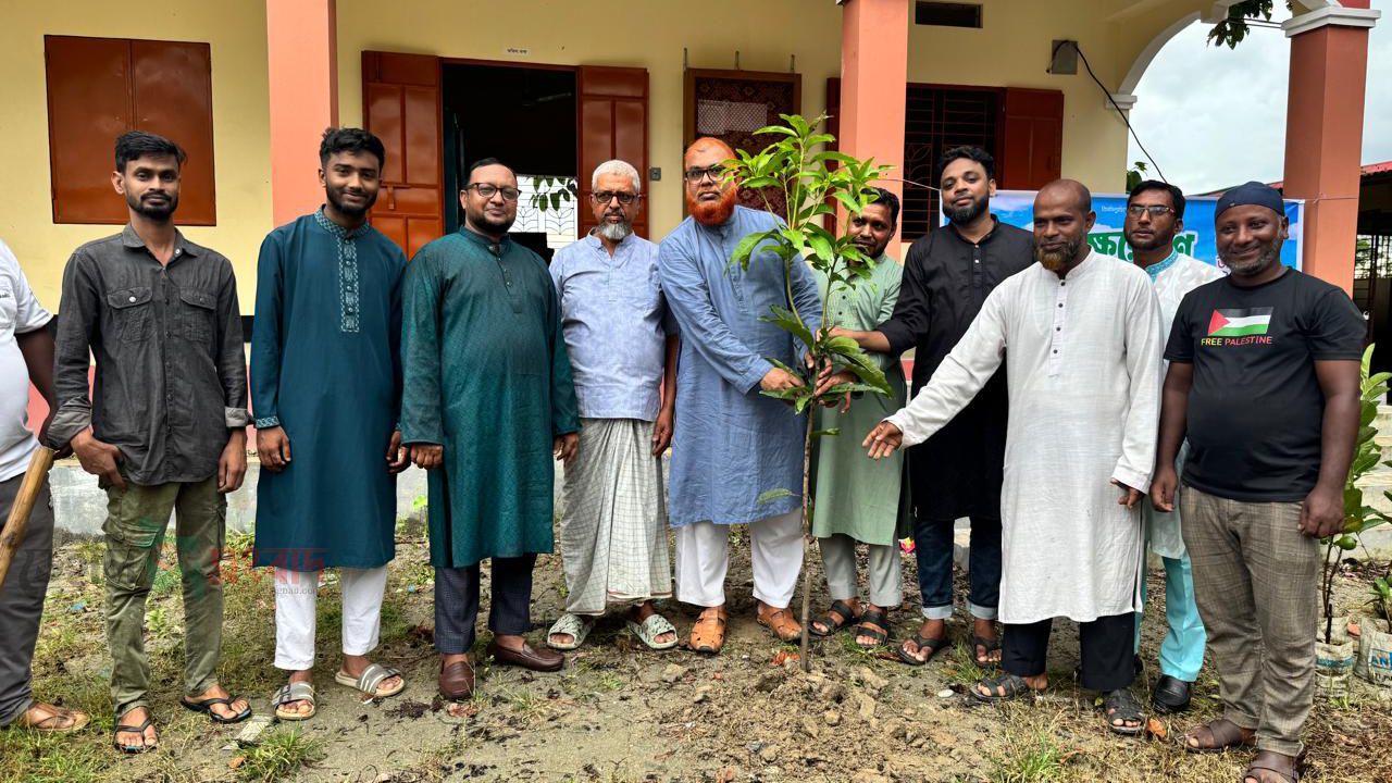 বিশ্বনাথে অলংকারী ইউনিয়ন জামায়াতের বৃক্ষরোপণ কর্মসূচি অনুষ্ঠিত