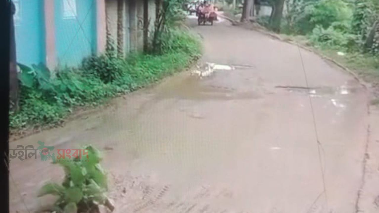 দেড় মাসেই ভেঙে গেল নতুন কালভার্ট 