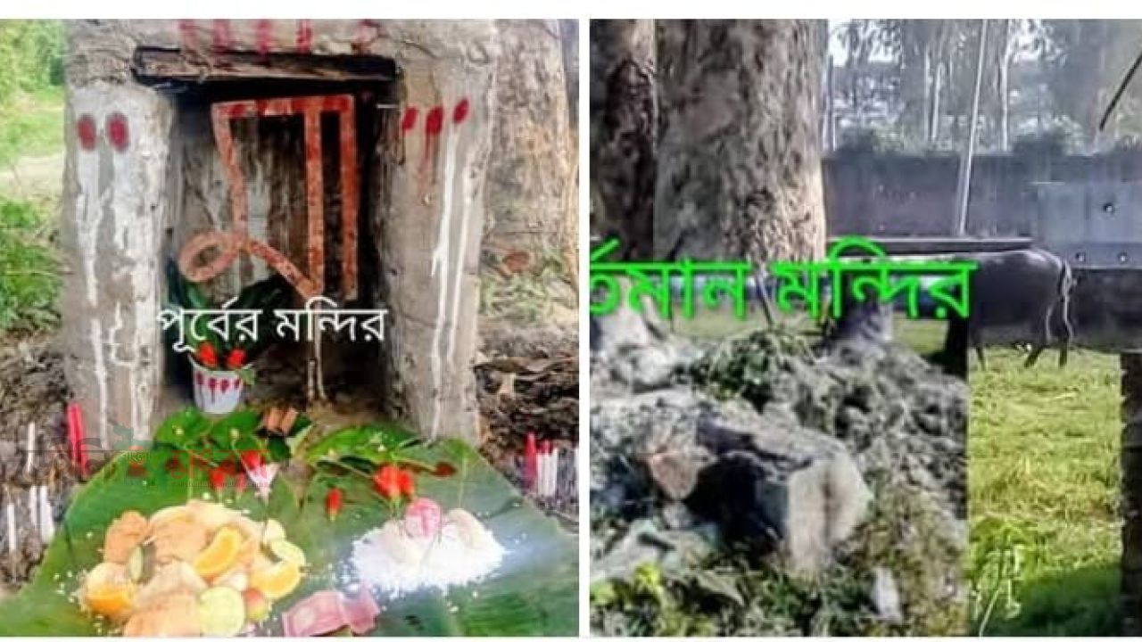বৃষ্টির মধ্যেও থেমে নেই বৃষ্টি। 