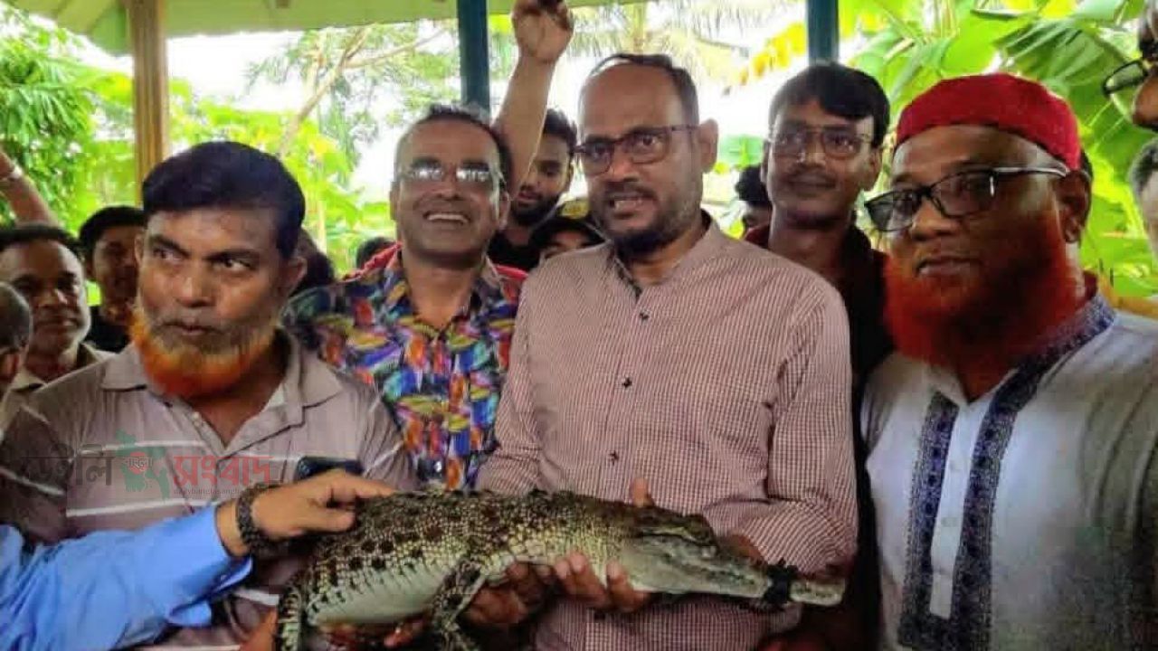 ময়মনসিংহের ভালুকায় মৎস্য ও প্রাণিসম্পদ প্রতিমন্ত্রী কুমিরের খামার পরিদর্শন 