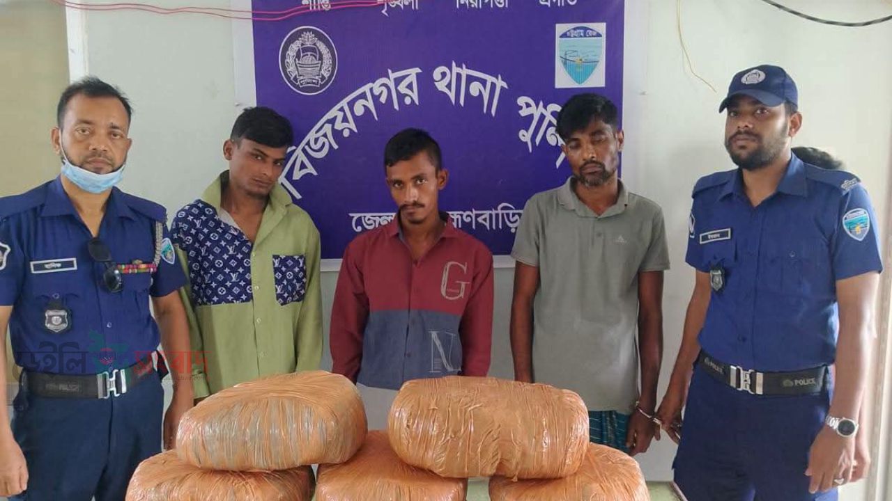 বিজয়নগরে পৃথক অভিযানে ১৬ কেজি গাঁজা, ১৭৫ ইয়াবা ও স্কাফ উদ্ধার; গ্রেপ্তার ৪