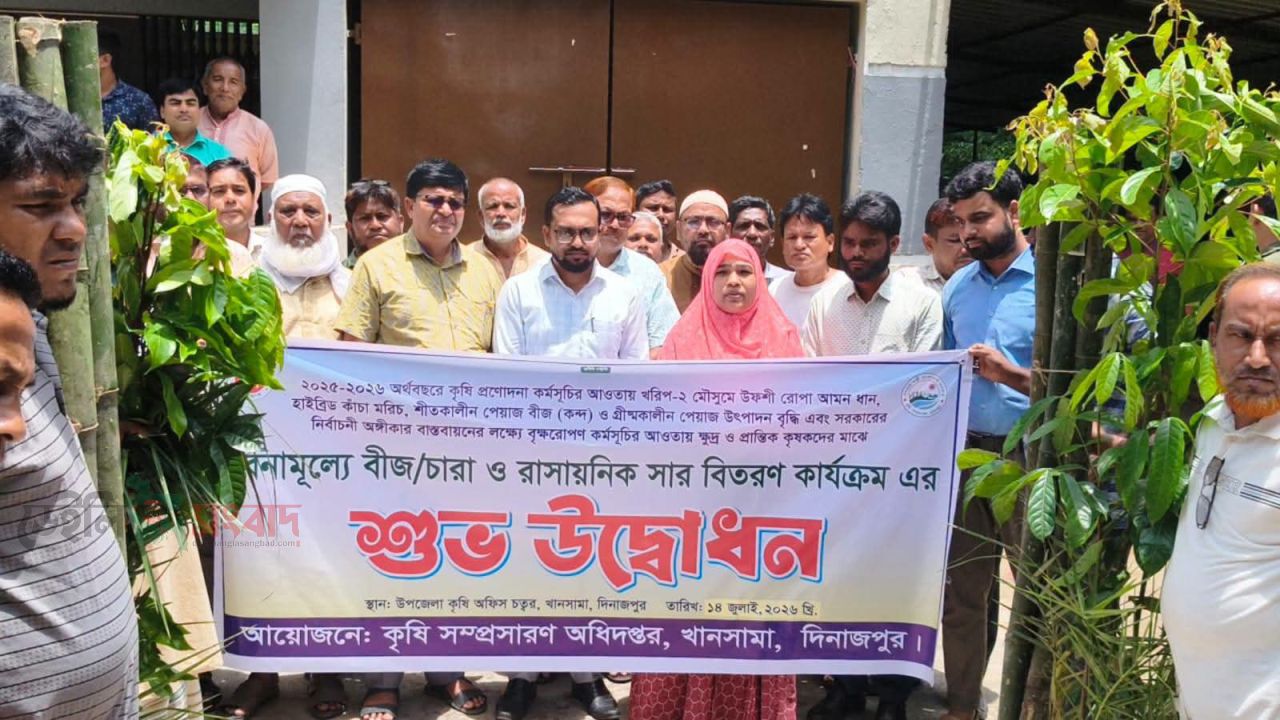 খানসামায় কৃষকদের মাঝে রোপা আমনের চারা, গোবর সার ও বাঁশের খুঁটি বিতরণ
